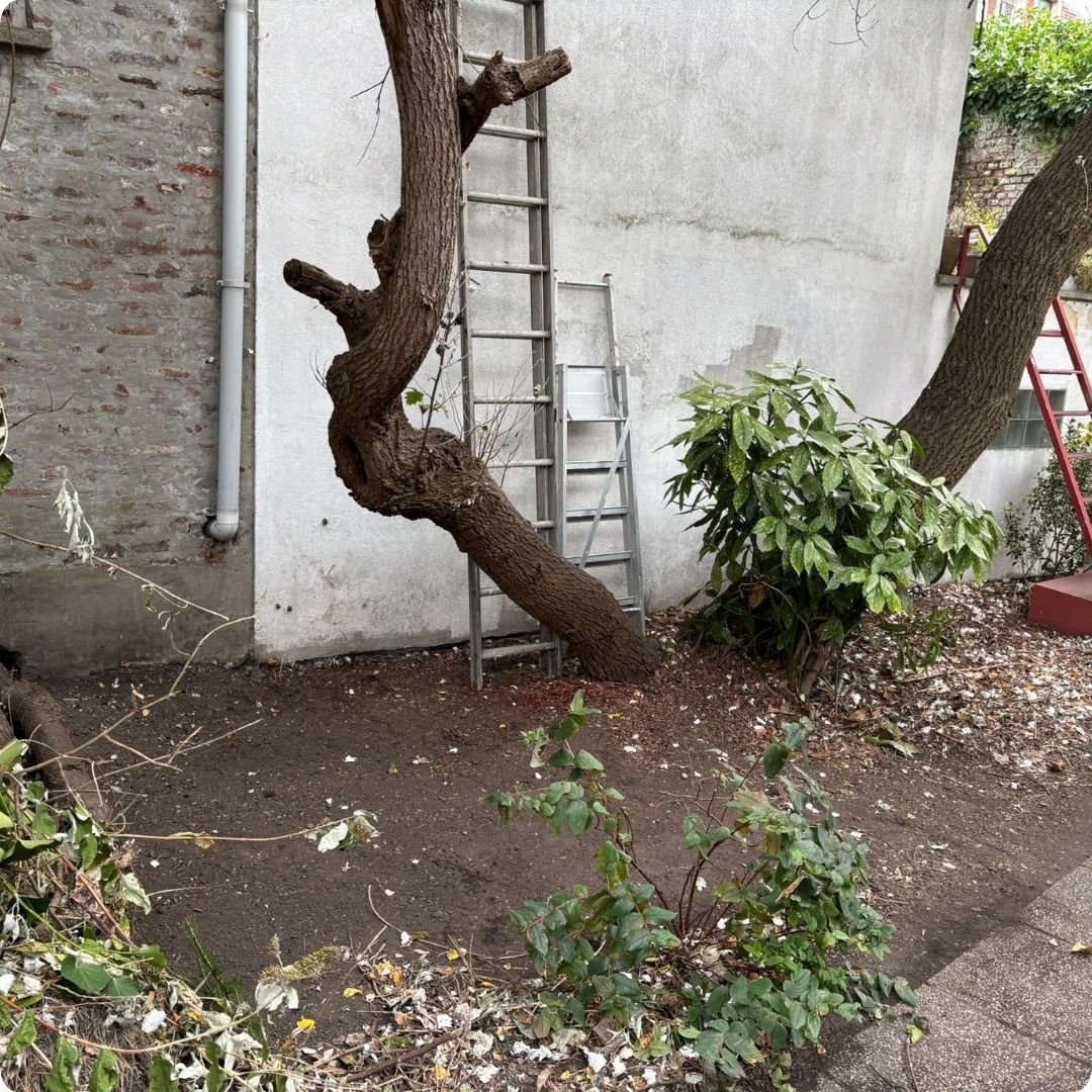 Intervention de débarras et nettoyage en Belgique