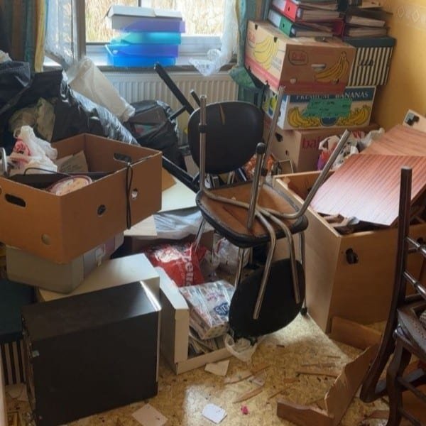 remise en état logement insalubre et cave