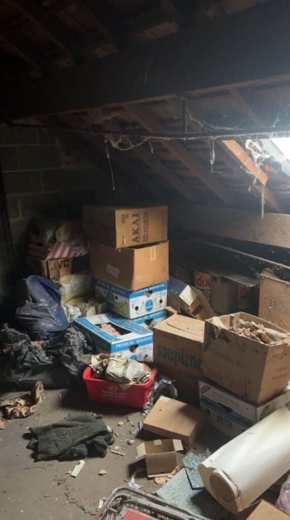 intervention nettoyage urgent logement grenier walllonie