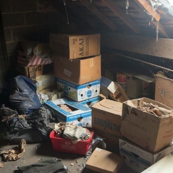 intervention nettoyage urgent logement grenier walllonie